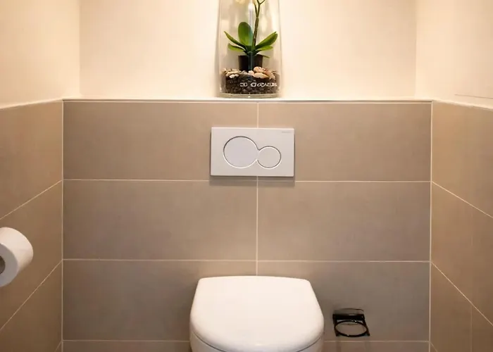 Chic In Notre-dame De *